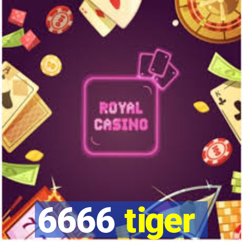 6666 tiger